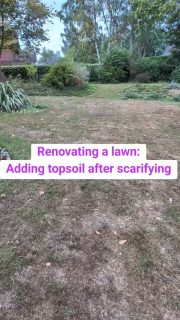 Lawn renovation : Adding topsoil #gardener #lawncare