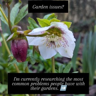 I'm currently conducting a study on common garden issues, and would love your help. #gardenissues #ukgardens