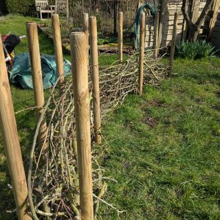 Dead hedge started. Might have to do one for my own garden!