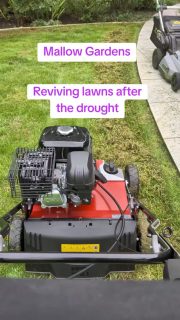 Scarifying and reviving lawns in Buckinghamshire